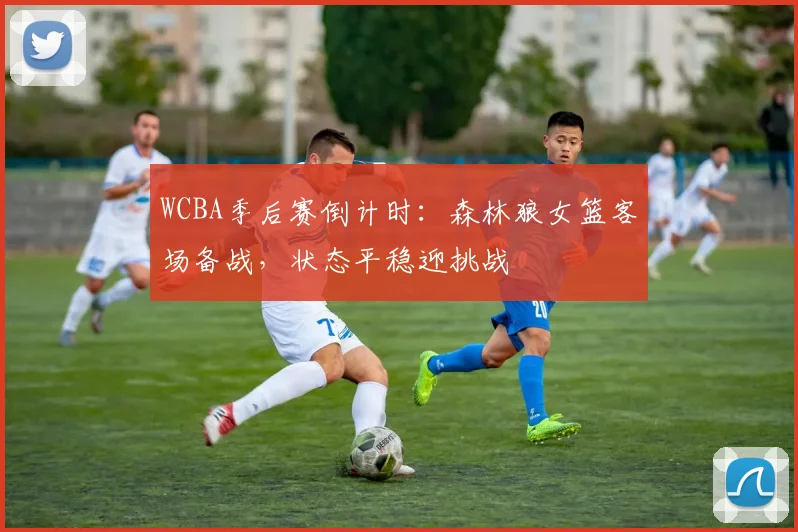 WCBA季后赛倒计时：森林狼女篮客场备战，状态平稳迎挑战