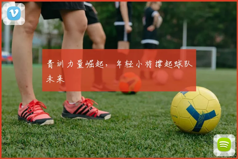 青训力量崛起,年轻小将撑起球队未来
