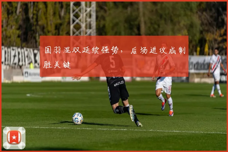 国羽混双延续强势，后场进攻成制胜关键